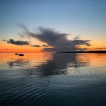 网址大全7x7x7x7免费 2bigo01k