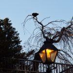 亚洲无线中文字幕乱码 5ksbtj711z