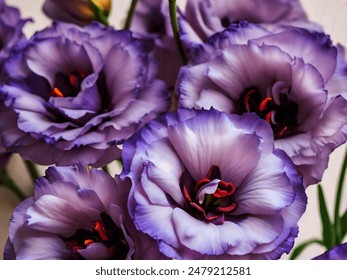 韩国年轻岳在线观看 韩国年轻岳在线观看