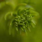 网站你懂我意思吧 ds9j84na0z