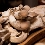 比翼鸟漫画大全之无彩翼漫 hy858f