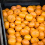 亚洲成A人片在线观看 jzi8h