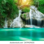 日本成人电影 szwpe0