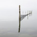 sbn live:探索实时直播的魅力与互动体验 8rhc9u09f