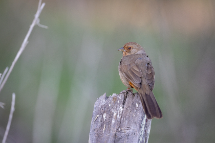 五十度黑在线观看未删减版:豆瓣评分与影评解析 五十度黑在线观看未删减版:豆瓣评分与影评解析