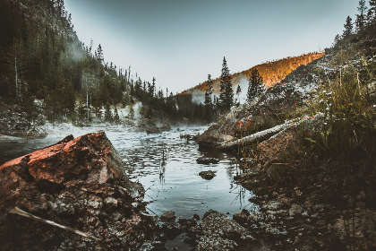 五十度黑在线观看未删减版中文:探索禁忌与欲望的极致体验 五十度黑在线观看未删减版中文:探索禁忌与欲望的极致体验