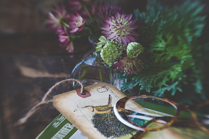 YY4480新视觉青苹果影院:畅享高清影视盛宴 YY4480新视觉青苹果影院:畅享高清影视盛宴