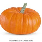 五十度黑电影无删减版:探索禁忌与欲望的极限 ura40ruxn