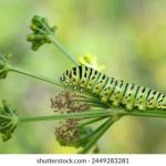 yy4410首播影院:畅享最新电影与热门剧集的最佳选择 w1xufj